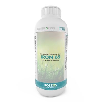 MASTER GREEN IRON 65 BOTTOS DA KG 1