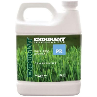Colorante concentrato per prato Endurant Perennial Rey PR da 32 once (946 ml)