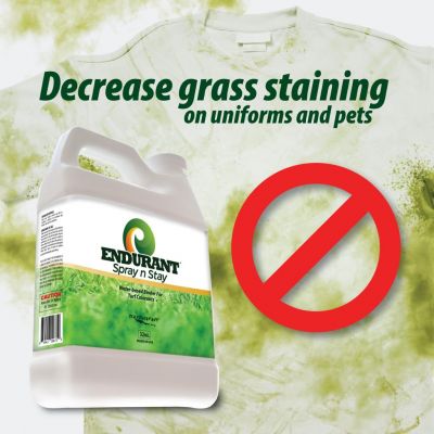 Fissante Adesivante per Pigmenti Coloranti Endurant Spray n Stay da 1 Gal (3,785 litri) 