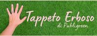 Tappeto Erboso di PG